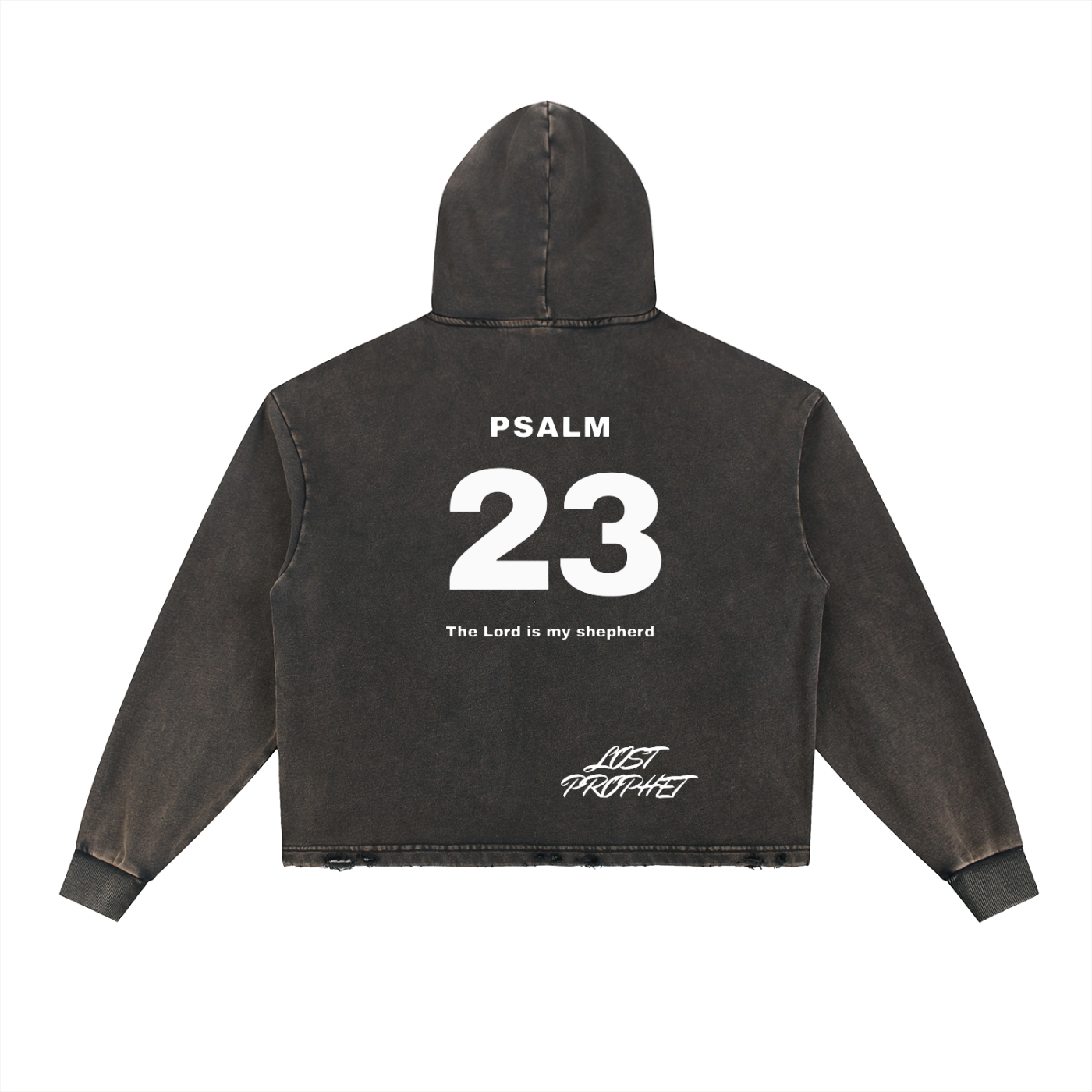 LP23