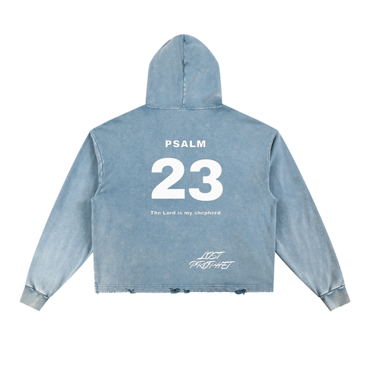 LP23